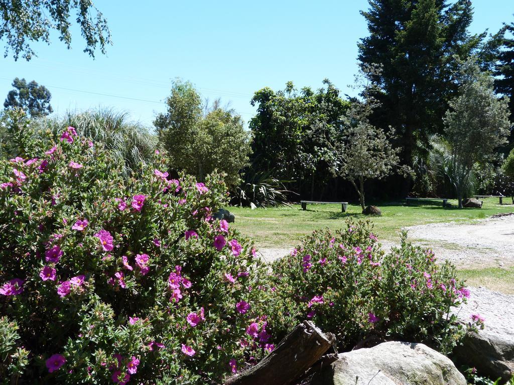 Fernwood Holiday Park Motueka Pokój zdjęcie